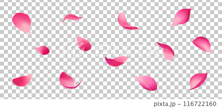 美しく舞う花びらのベクター素材 美しく舞う花びらのベクター素材 116722160