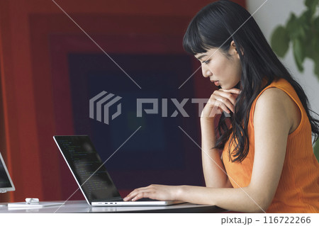 ノートパソコンで作業をする若い女性　横顔 116722266