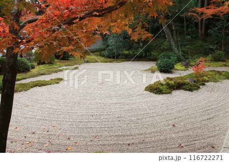 井山宝福寺 般若禅院の庭 井山宝福寺 般若禅院の庭 116722271