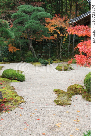 井山宝福寺　般若禅院の庭 116722274