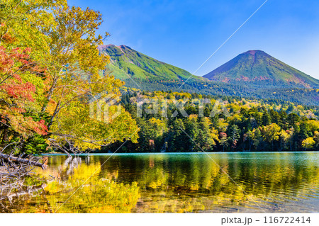 北海道 紅葉に染まるオンネトー　～湖面に映る雌阿寒岳と阿寒富士～ 116722414