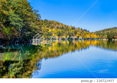 北海道 紅葉に染まるオンネトー 116722457