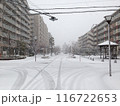 雪の積もった歩道 116722653