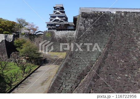 熊本城 二様の石垣と本丸 熊本城 二様の石垣と本丸 116722956