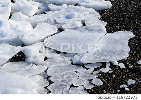 野付半島の流氷 116722978