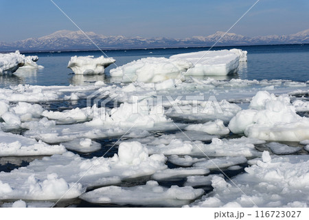 野付半島の流氷 野付半島の流氷 116723027
