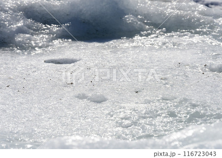 野付半島の流氷 116723043