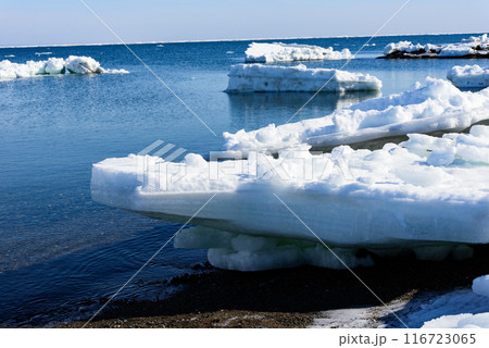 野付半島の流氷 野付半島の流氷 116723065