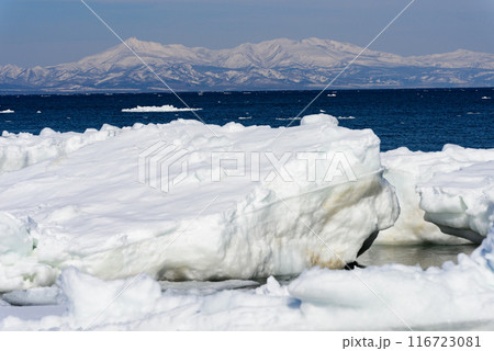 野付半島の流氷 野付半島の流氷 116723081
