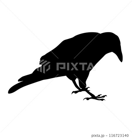 Bird Raven Crow Black Silhouette for Icon. 116723140