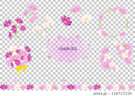 コスモスの花と花びらの素材詰め合わせセット コスモスの花と花びらの素材詰め合わせセット 116723150