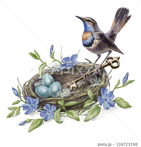 Nightingale's nest with a key, blue eggs, and flowers. Can be used for illustrations in children's books, educational materials, symbol of home and family in advertising, packaging, or greeting cards. Nightingale's nest with a key, blue eggs, and flowers. Can be used for illustrations in children's books, educational materials, symbol of home and family in advertising, packaging, or greeting cards. 116723198