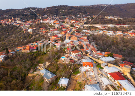 Aerial view on Signagi and Alazani valley, Georgia. Sighnaghi of love in Georgia 116723472