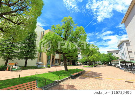 【香川県】晴天の香川大学幸町キャンパス 116723499