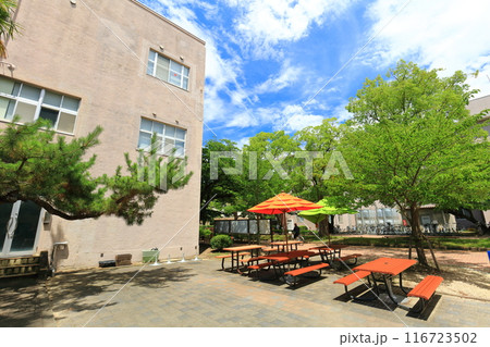 【香川県】晴天の香川大学幸町キャンパス 116723502