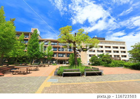 【香川県】晴天の香川大学幸町キャンパス 【香川県】晴天の香川大学幸町キャンパス 116723503