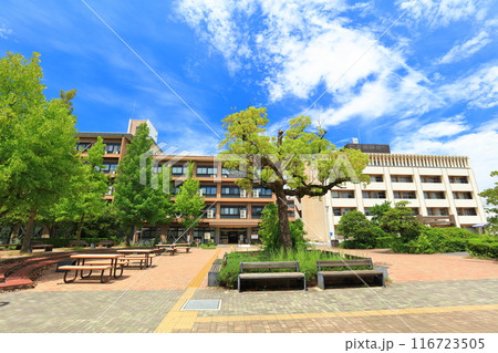 【香川県】晴天の香川大学幸町キャンパス 【香川県】晴天の香川大学幸町キャンパス 116723505