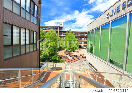 【香川県】晴天の香川大学幸町キャンパス 【香川県】晴天の香川大学幸町キャンパス 116723512