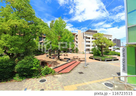 【香川県】晴天の香川大学幸町キャンパス 【香川県】晴天の香川大学幸町キャンパス 116723515