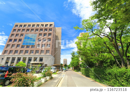 【香川県】晴天の香川大学幸町キャンパス 116723518
