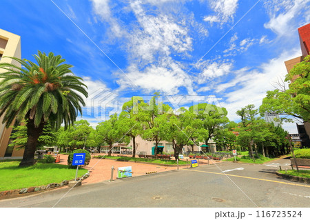 【香川県】晴天の香川大学幸町キャンパス 116723524