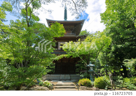 豪徳寺の三重塔 東京都世田谷区 豪徳寺の三重塔 東京都世田谷区 116723705