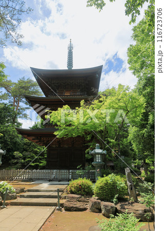 豪徳寺の三重塔　東京都世田谷区 116723706