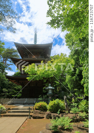 豪徳寺の三重塔 東京都世田谷区 豪徳寺の三重塔 東京都世田谷区 116723707