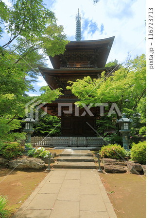 豪徳寺の三重塔　東京都世田谷区 116723713