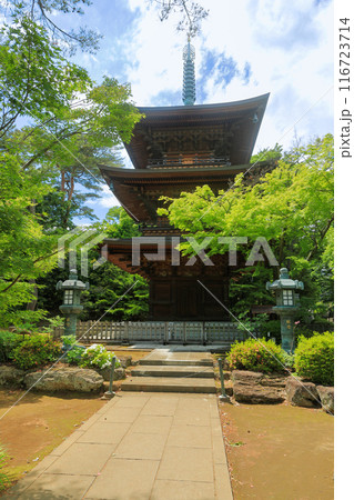 豪徳寺の三重塔　東京都世田谷区 116723714