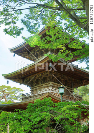 豪徳寺の新緑の三重塔 東京都世田谷区 豪徳寺の新緑の三重塔 東京都世田谷区 116723795