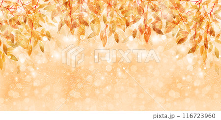 紅葉　葉　秋　背景	 116723960