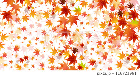 紅葉 葉 秋 背景 紅葉 葉 秋 背景 116723961