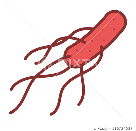 腸管出血性大腸菌O157 116724537