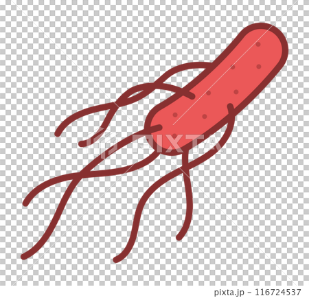 腸管出血性大腸菌O157 116724537