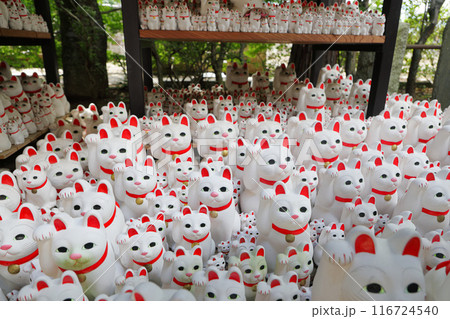 豪徳寺の招き猫 東京都世田谷区 豪徳寺の招き猫 東京都世田谷区 116724540