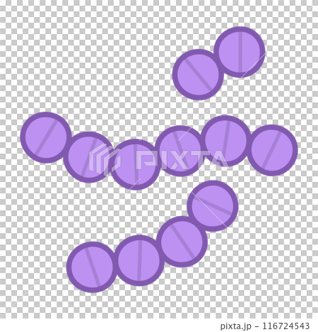 レンサ球菌 レンサ球菌 116724543