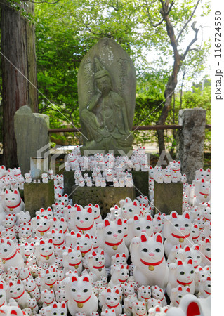 豪徳寺の招き猫　東京都世田谷区 116724550