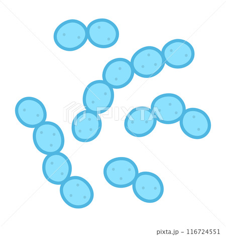 乳酸球菌 乳酸球菌 116724551