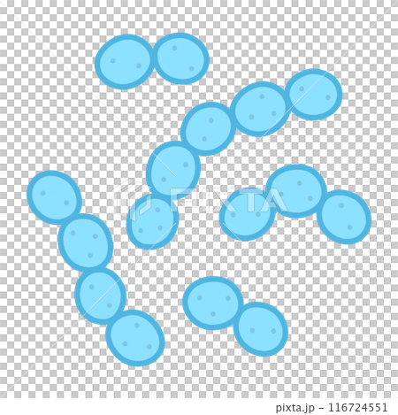 乳酸球菌 乳酸球菌 116724551