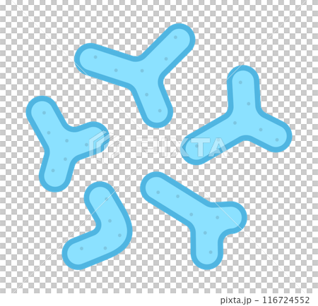 雙歧桿菌 雙歧桿菌 116724552