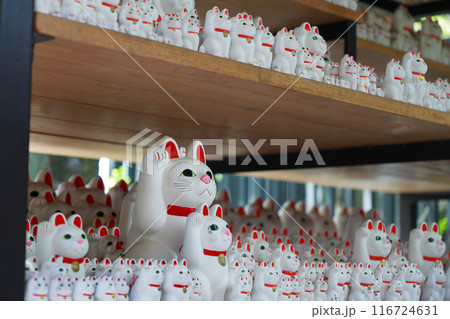 豪徳寺の招き猫 東京都世田谷区 豪徳寺の招き猫 東京都世田谷区 116724631