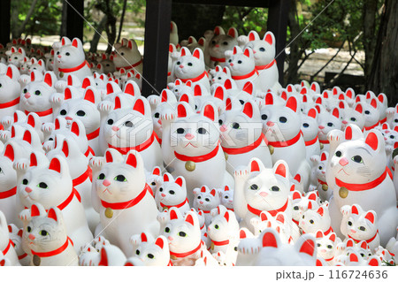 豪徳寺の招き猫 東京都世田谷区 豪徳寺の招き猫 東京都世田谷区 116724636