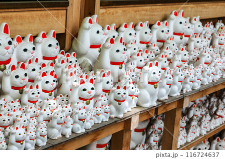 豪徳寺の招き猫　東京都世田谷区 116724637