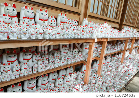 豪徳寺の招き猫　東京都世田谷区 116724638