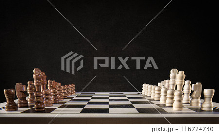 チェスボード 116724730