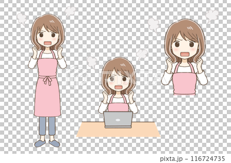 穿圍裙的女人生氣了(全身、上身、電腦前) 穿圍裙的女人生氣了(全身、上身、電腦前) 116724735