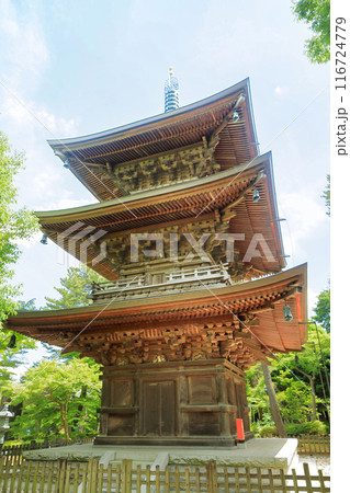 豪徳寺の新緑の三重塔　東京都世田谷区 116724779