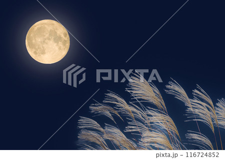 秋の満月の夜とススキの穂｜十五夜イメージ 116724852