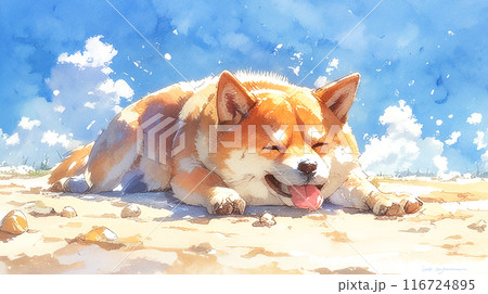 夏の炎天下にぐったりする柴犬の水彩イラスト 116724895